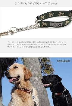 ち〜まま⭐︎ページ　ハーフチョークチェーンとカフェリード2セット　黒　ビーズ 大型犬用ハーフチョークチェーンとカフェリード のセット リード